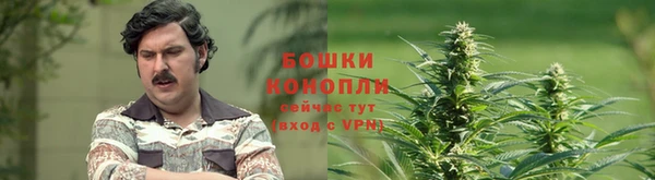 прущие крисы Армянск