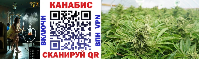 где продают наркотики  Пустошка  Бошки Шишки White Widow 